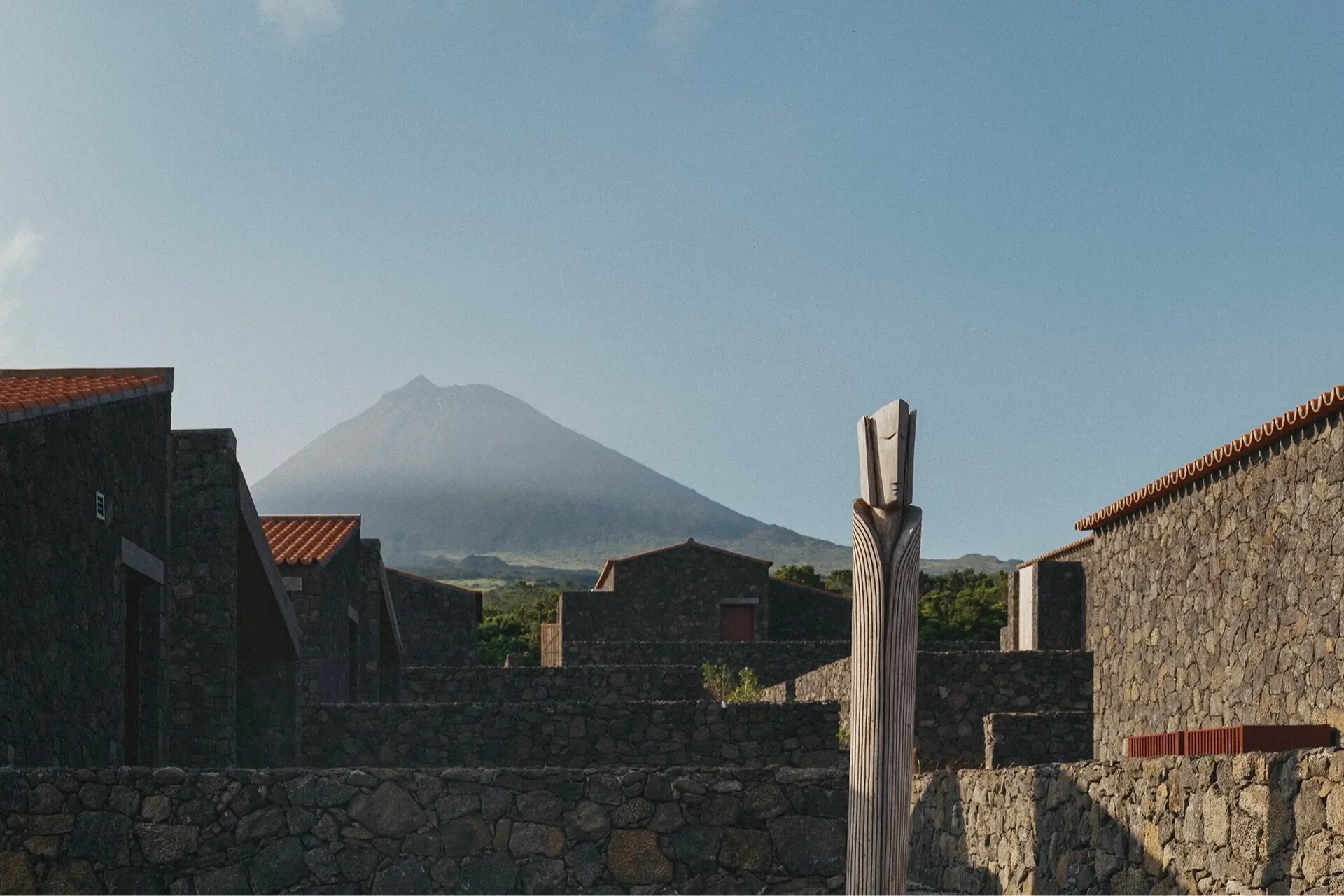 website image
