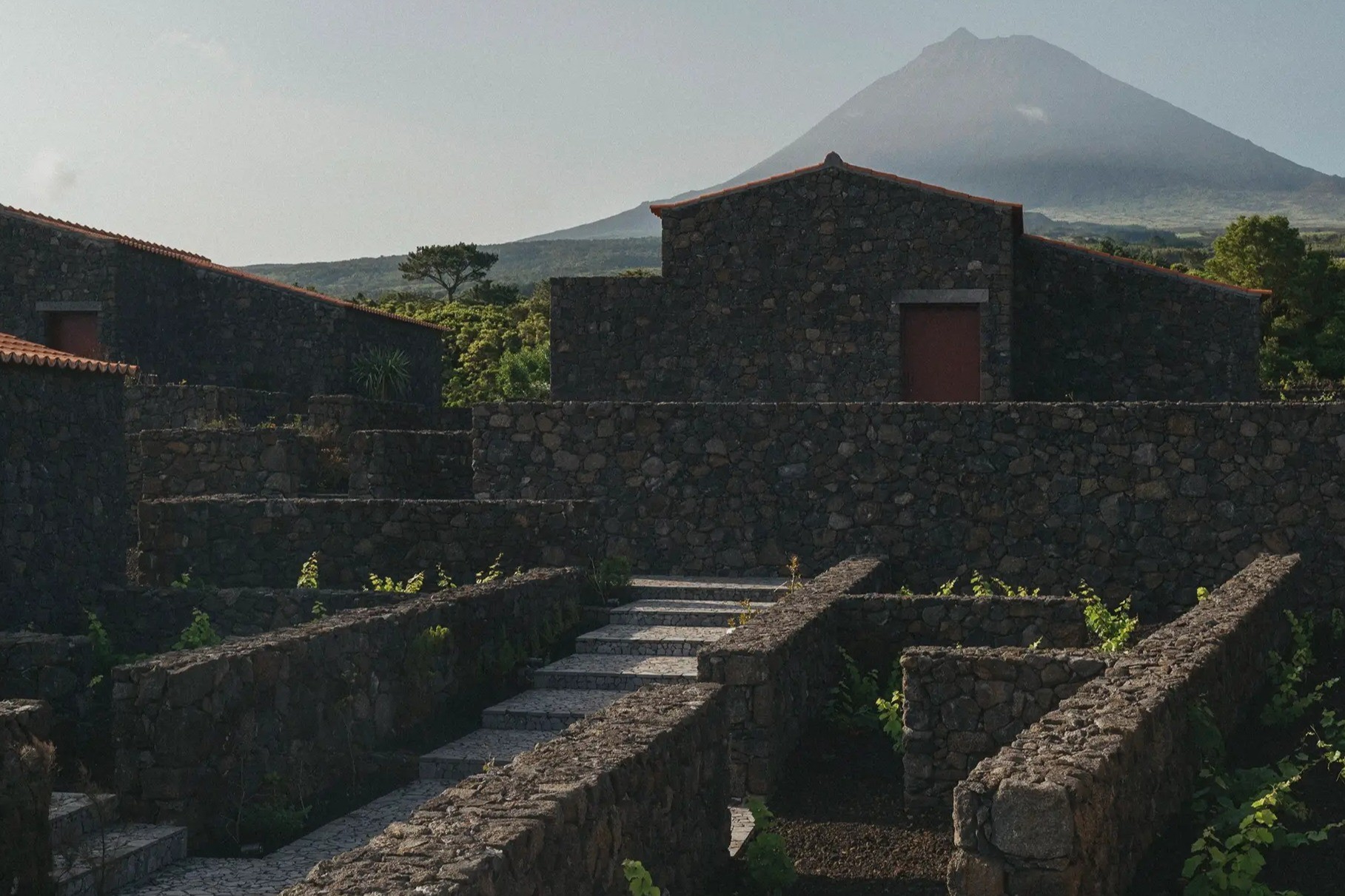 website image
