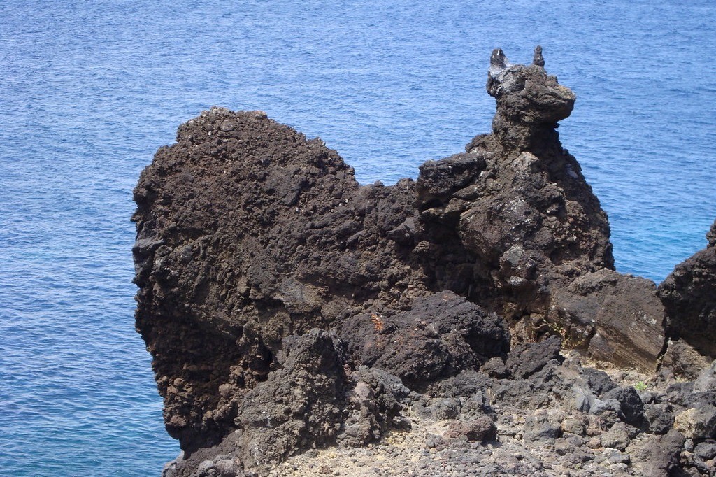 website image