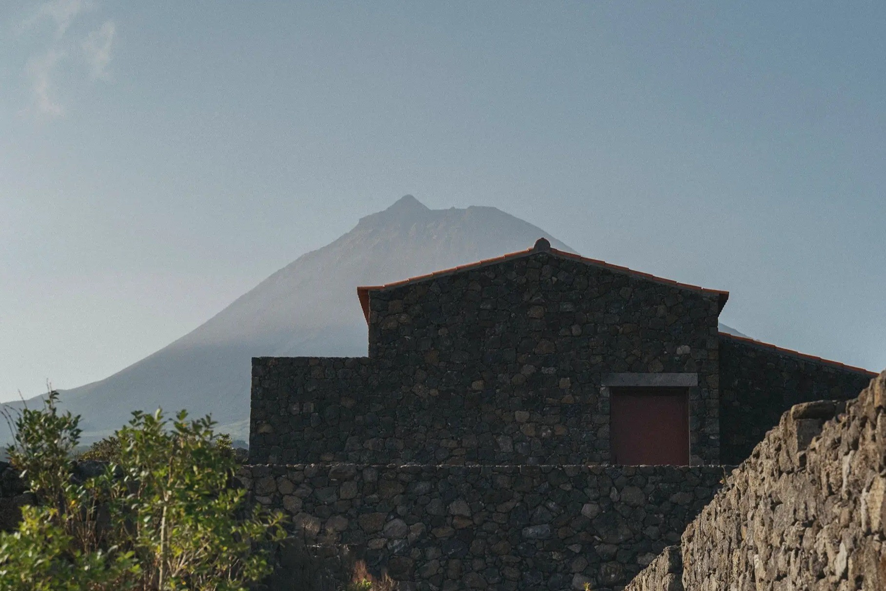 website image