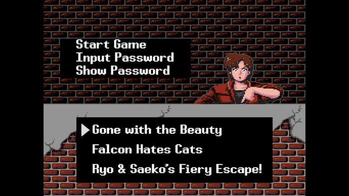 City Hunter | PS5 | PRE-RESERVA