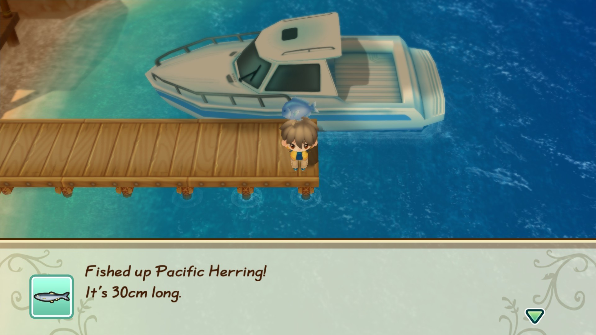 Story Of Seasons: A Wonderful Life | XBX | USADO 4