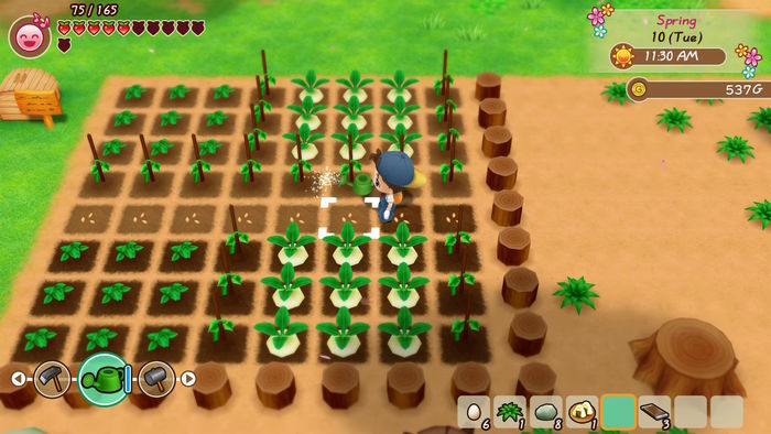 Story Of Seasons Friends Of Mineral Town | PS4 | Novo