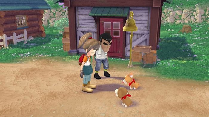 Story Of Seasons A Wonderful Life | PS5 | Usado