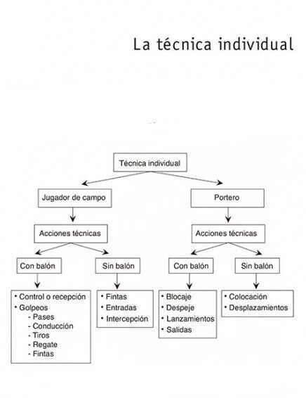 Estrutura do programa de desenvolvimento da Técnica