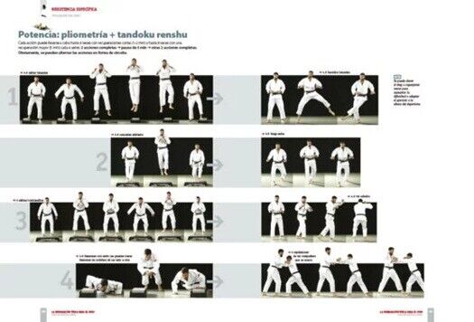 Amostra - Preparación Física Completa para Judo