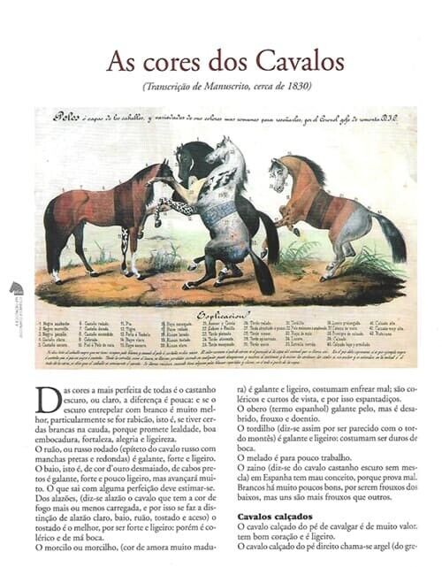 Equitação em Dicionário Picaresco - amostra