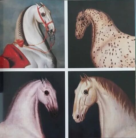 Cavalo Lusitano (pag,27)