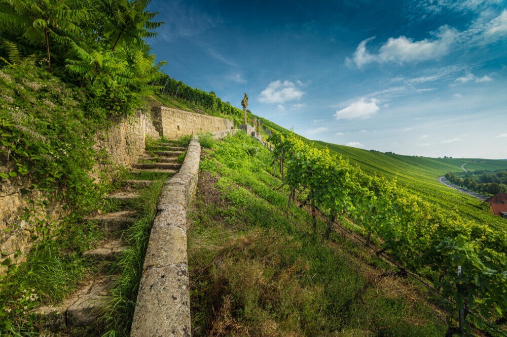 website image