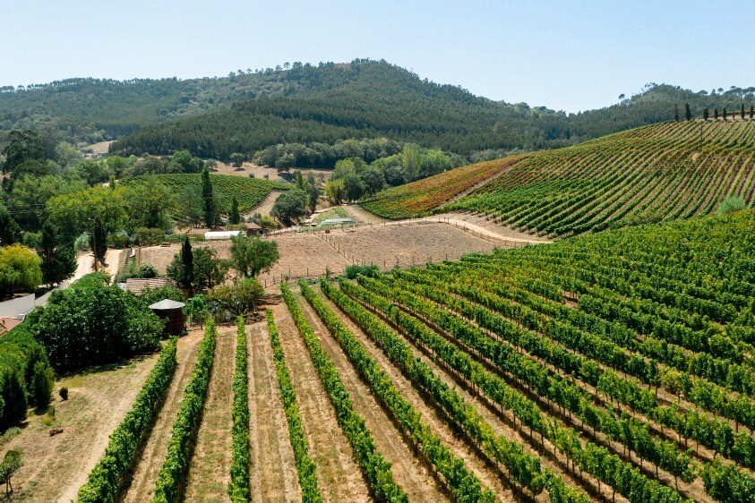 website image