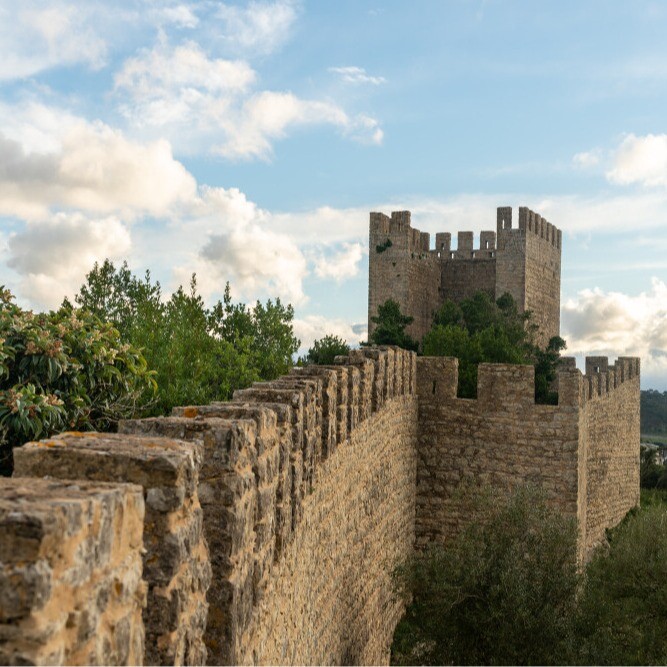 website image
