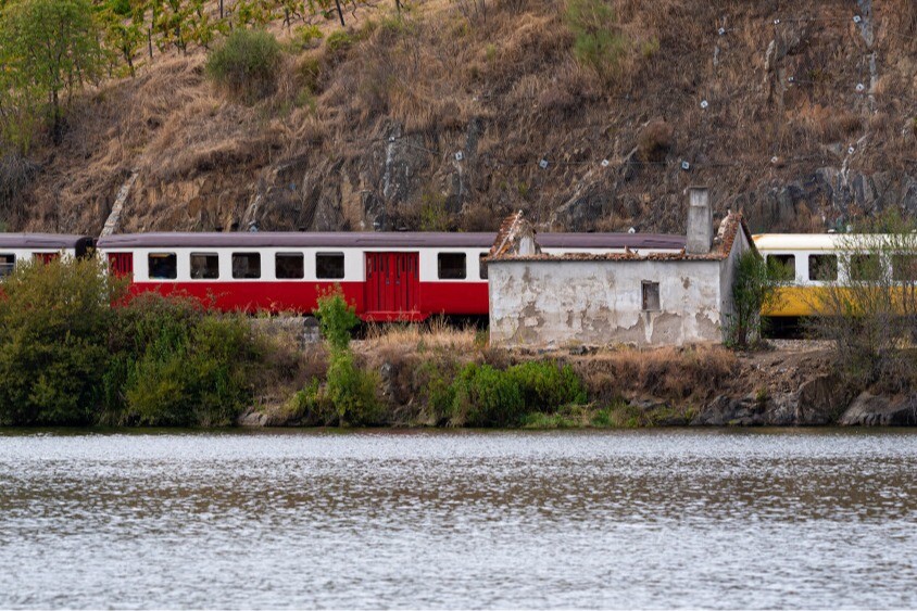 website image