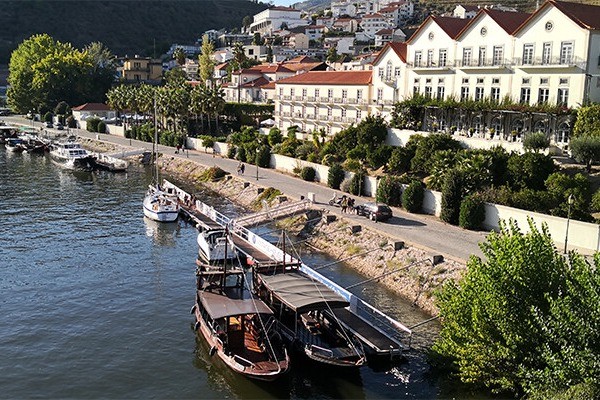 website image