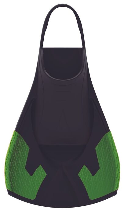 Barbatana
