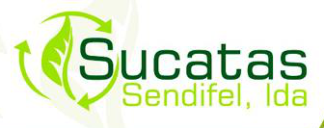 website image