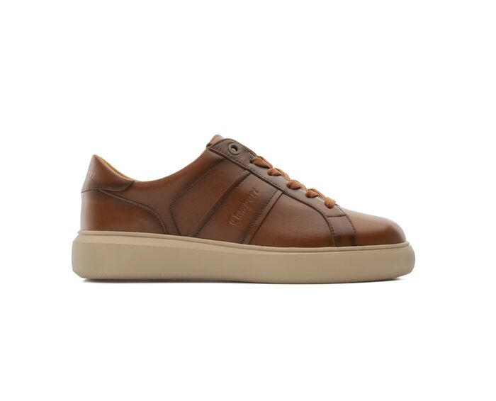 Sapatilhas CAMPORT Rover Castanho