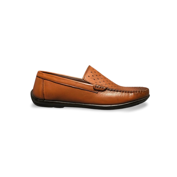MOCASSIM,