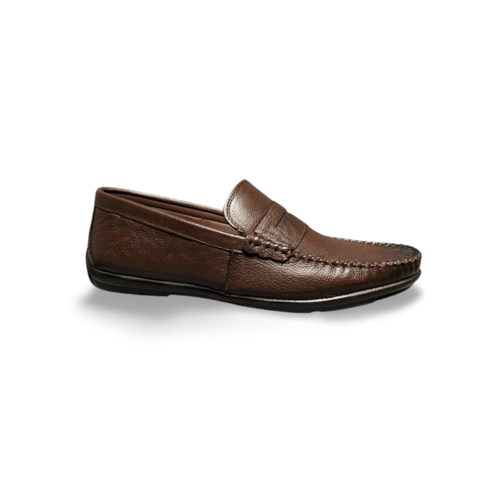 MOCASSIM