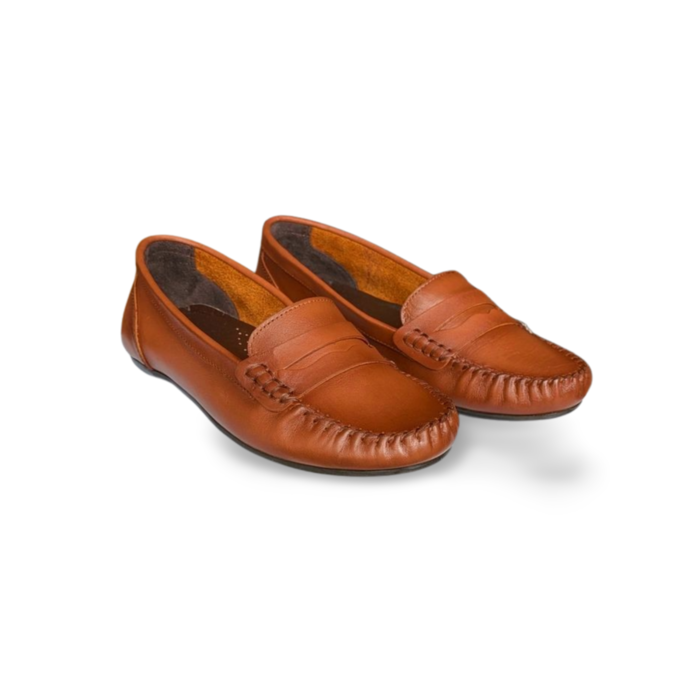 MOCASSIM