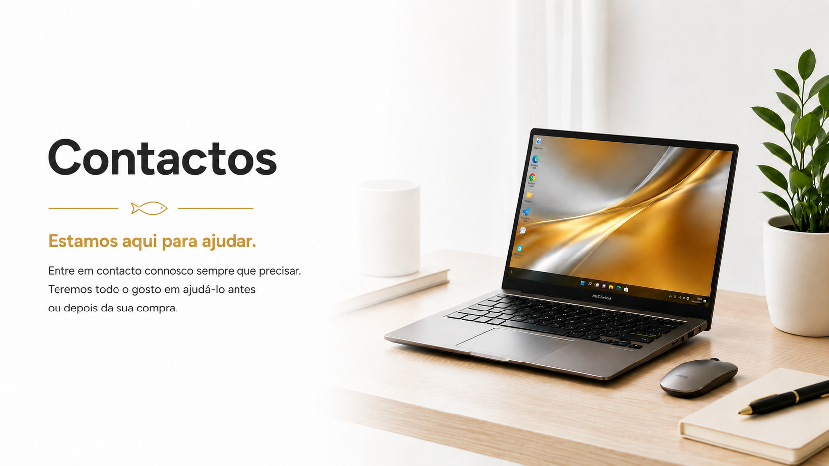 website image