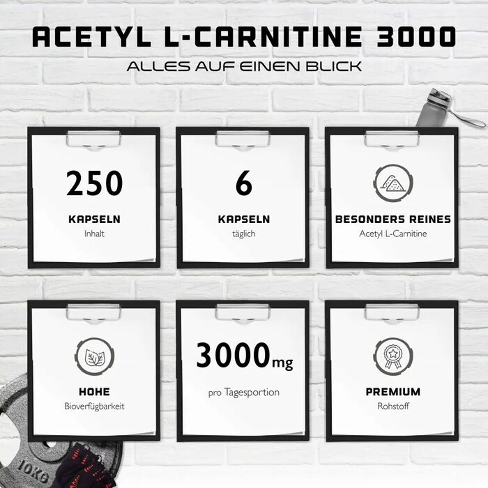 Acetil L-Carnitina 3000 500mg - 250 cápsulas
