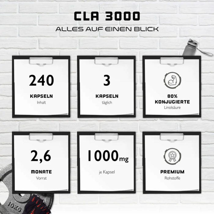 Ómega 6 - Ácido Linoleico Conjugado - CLA - 1000mg - 240 cápsulas