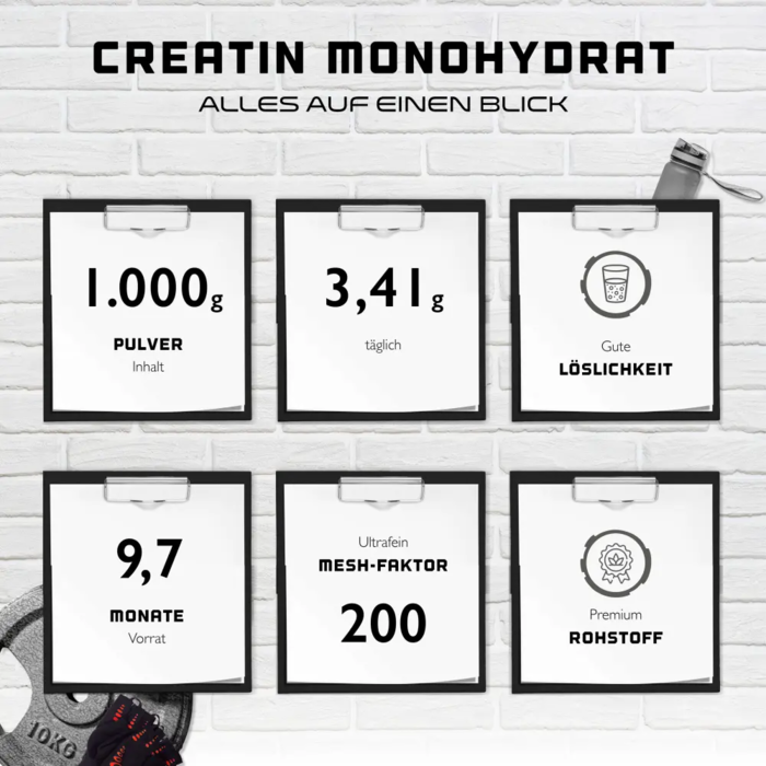 Creatina Pó Monohidrato - 1000g
