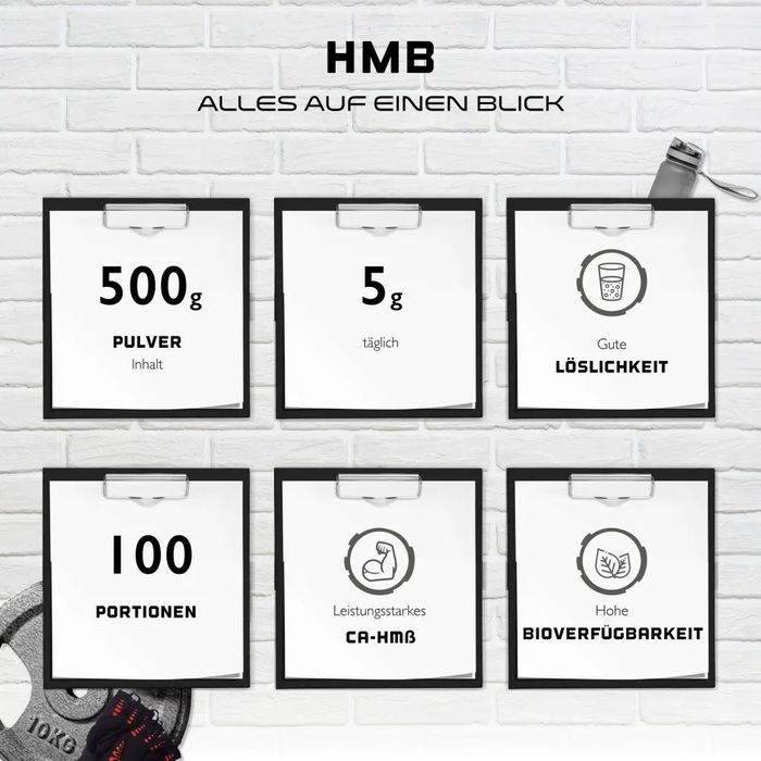 HMB em pó, 500 g