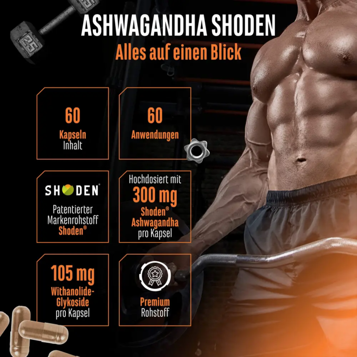 Ashwagandha Shoden - 60 cápsulas