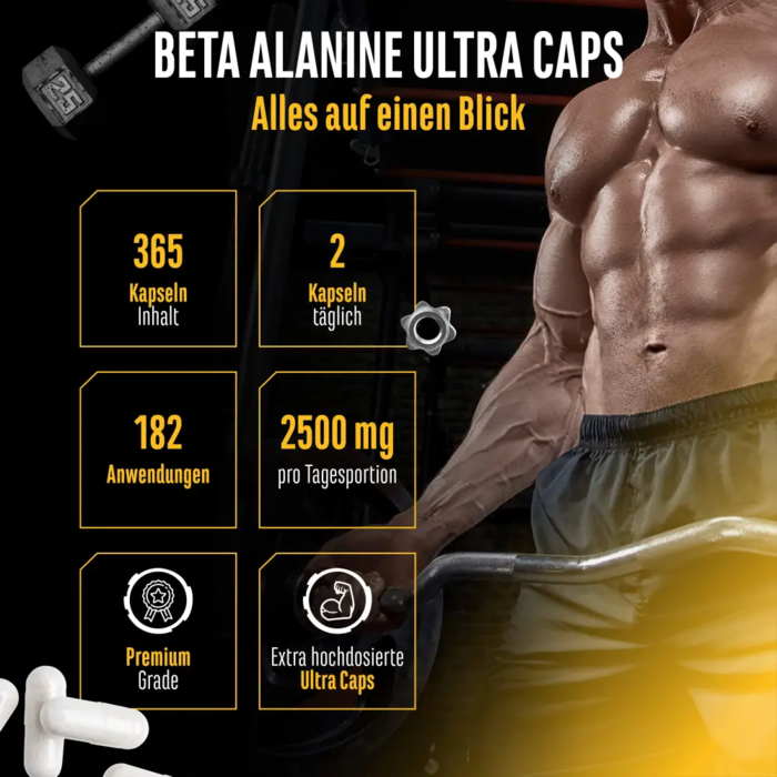 Beta Alanina - 365 Cápsulas