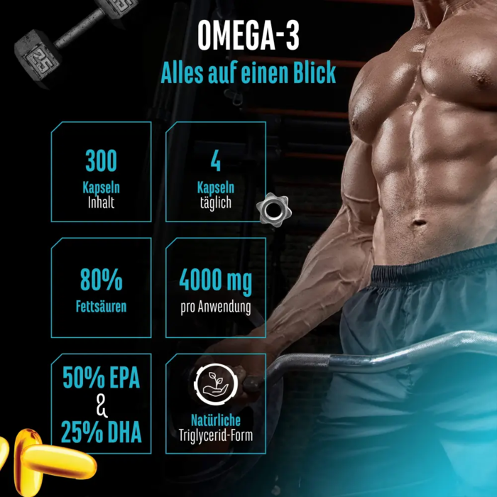 Ômega 3 Óleo de Peixe - 300 Cápsulas de Geleia