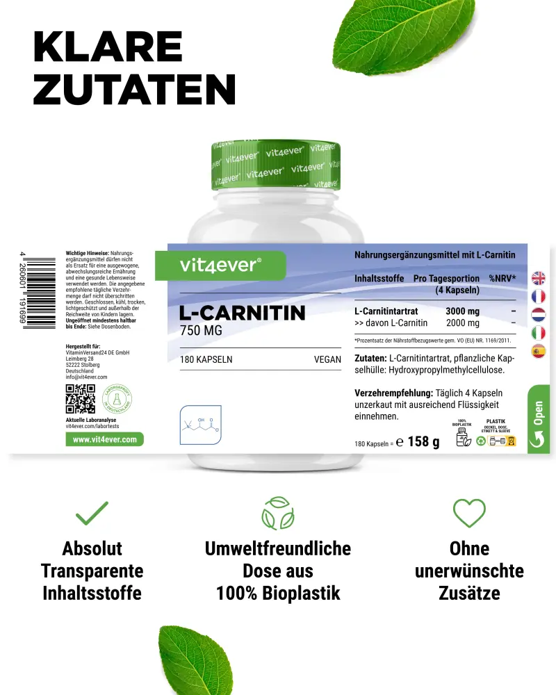 taurine ginseng l carnitine ITO-CZ Sachet | Multivitamin ,Caffeine ,Ginseng ,Zinc : Energy and Immunity