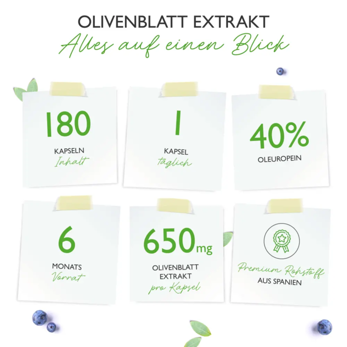 Extrato de folha de oliveira 650mg - 20% de oleuropeína - 180 cápsulas vegan