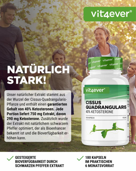 Cissus Quadrangularis Intenso - 180 cápsulas - extrato de 725 mg - 40% de conteúdo de cetosterona - testado em laboratório