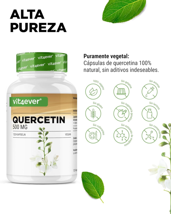 Quercetina 500mg - Feito de extrato de flor de pagode japonês - 120 cápsulas vegan