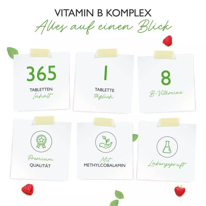 Complexo de Vitaminas B - 8 Vitaminas B - 365 Comprimidos