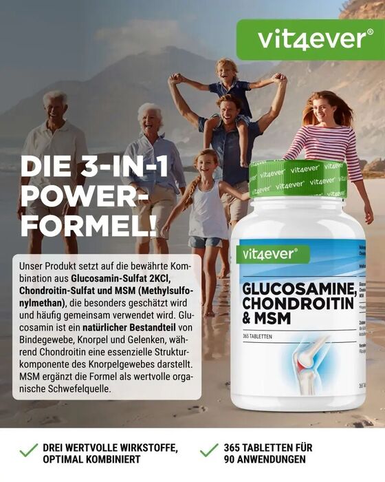 Glucosamina, Condroitina e MSM, 365 comprimidos