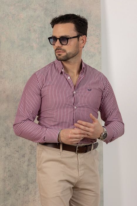 Camisa