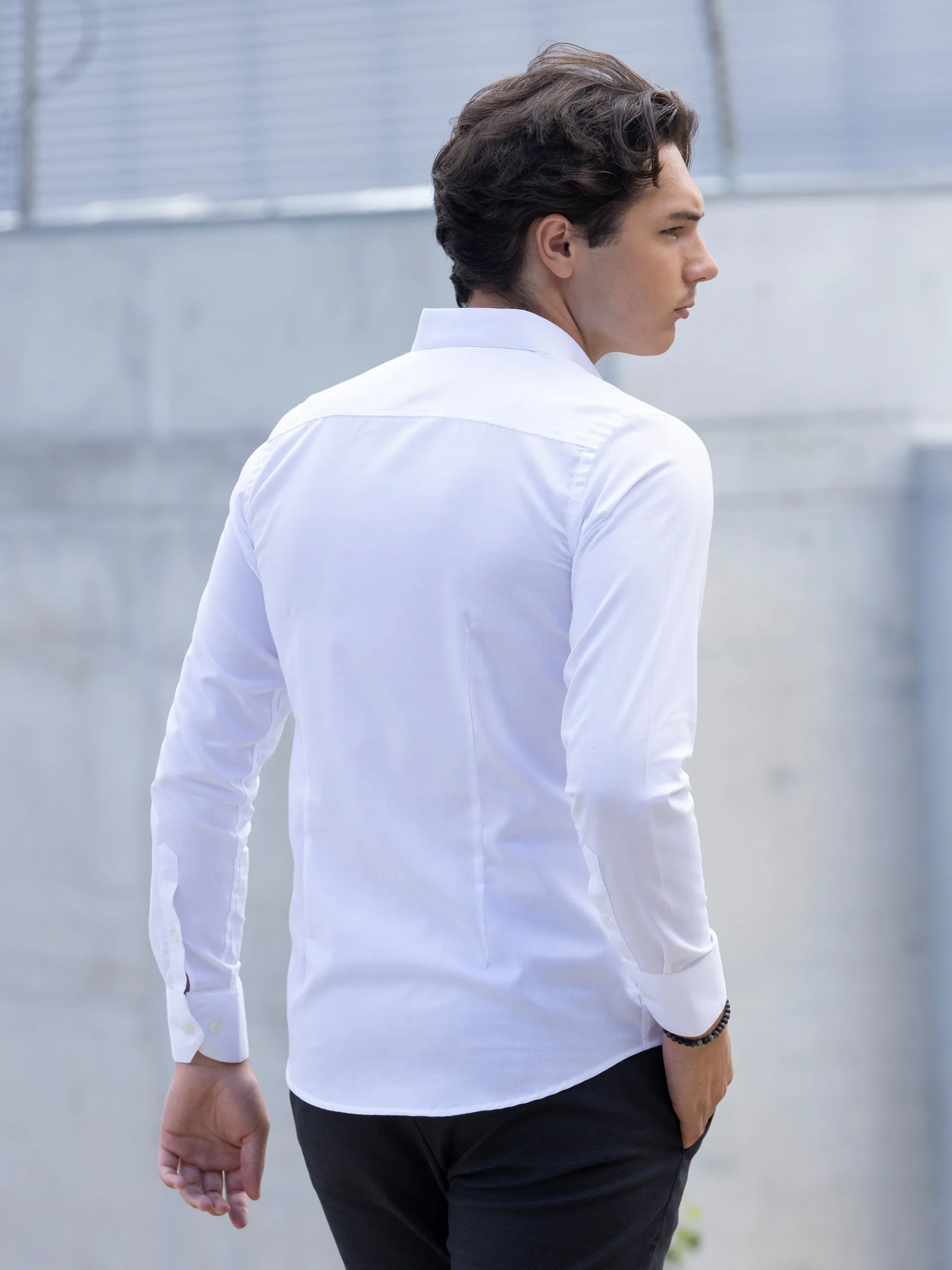 Camisa | + cores