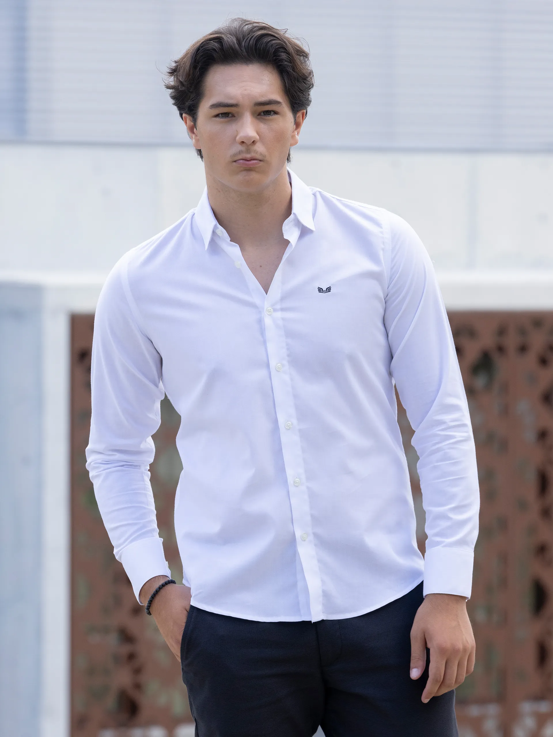 Camisa | + cores