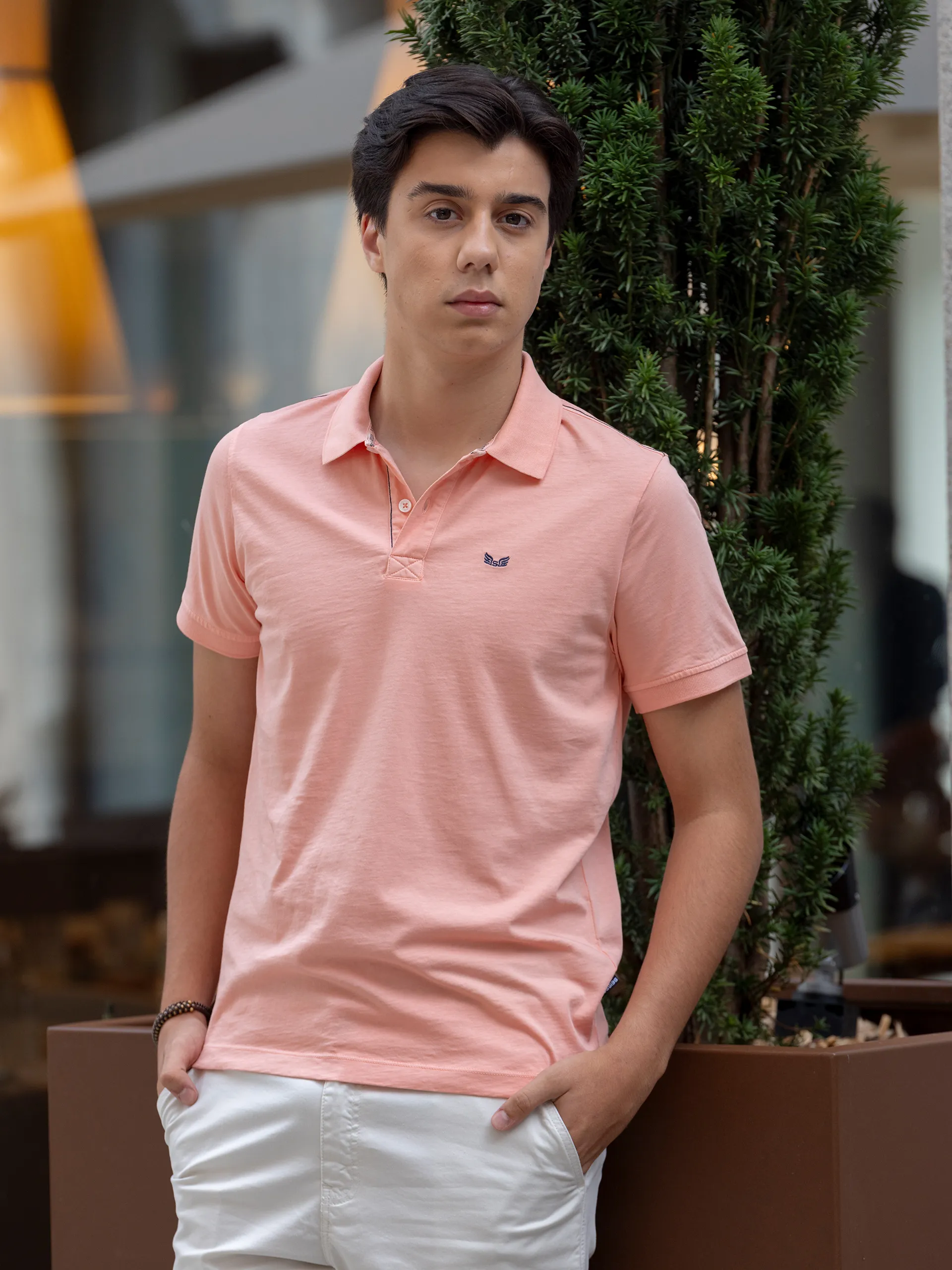 Polo | + cores