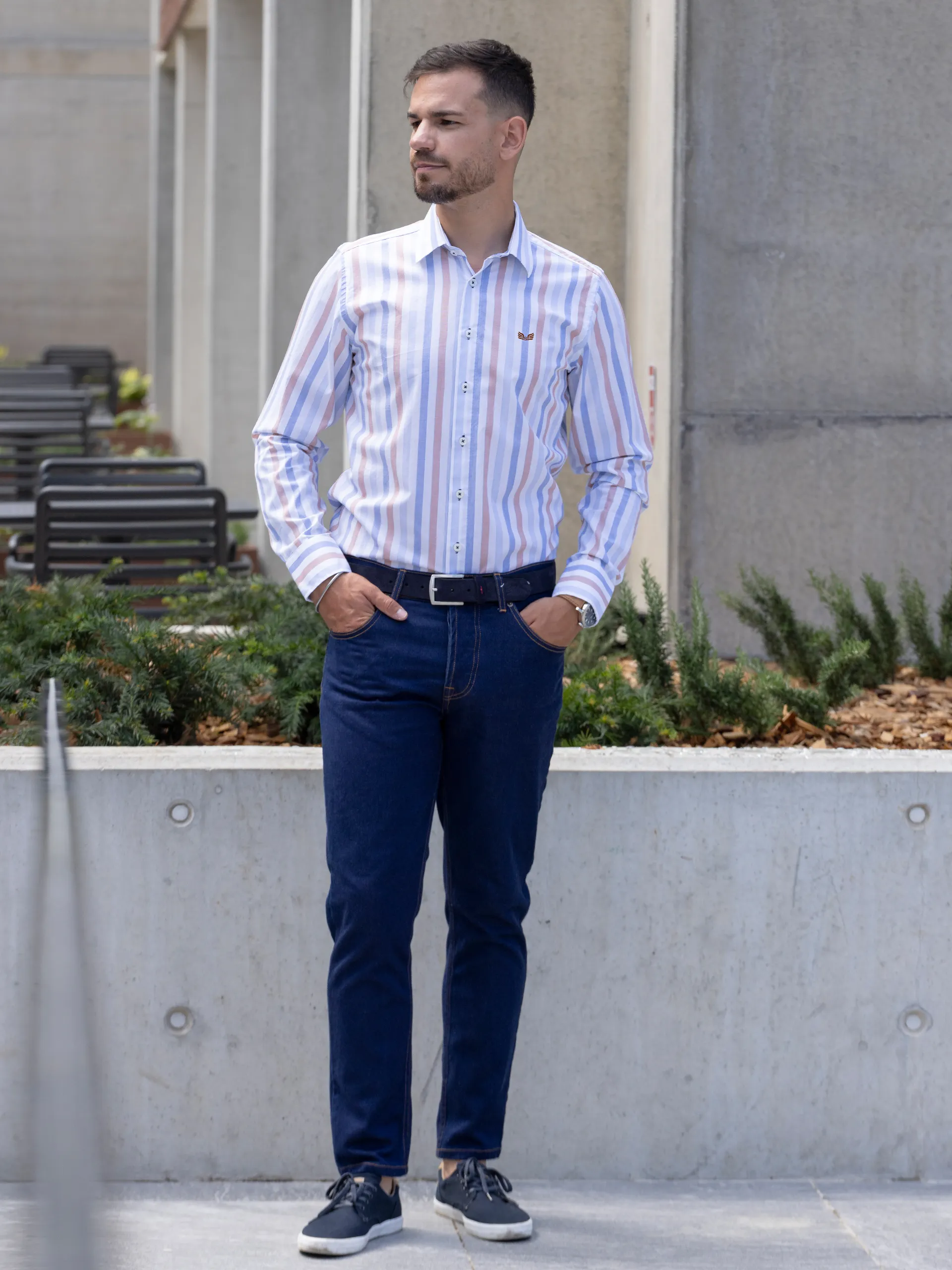 Camisa
