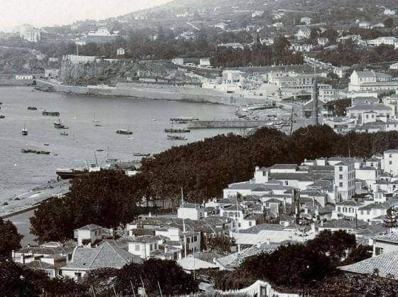 website image