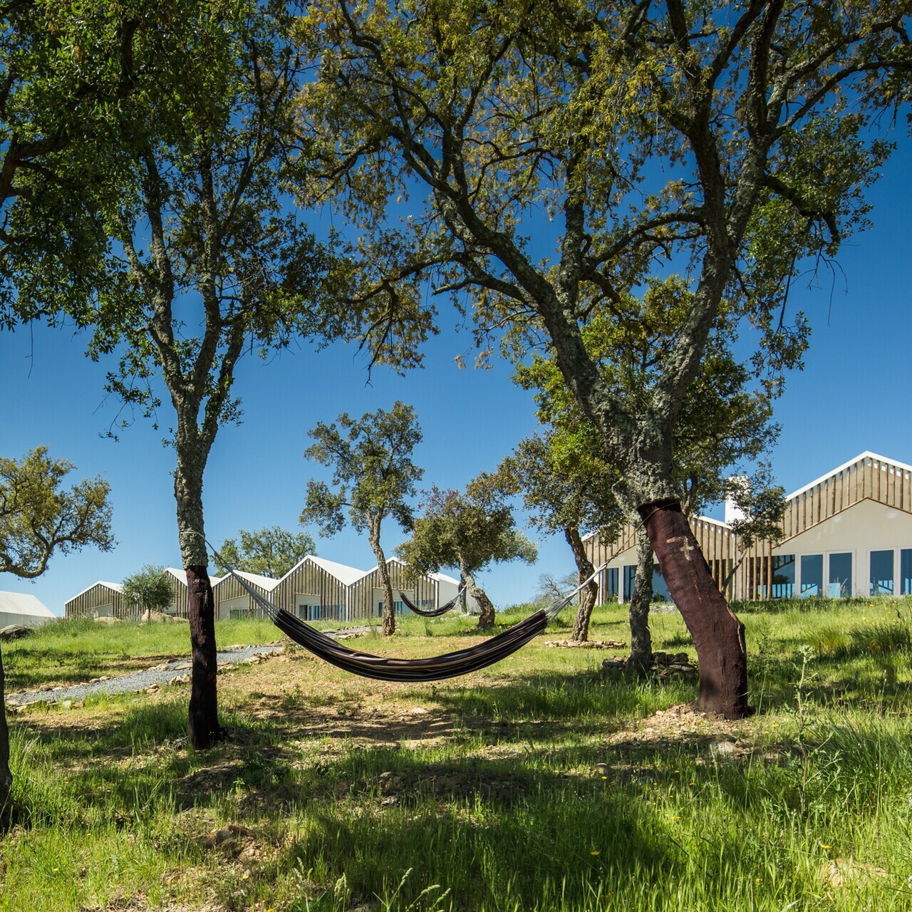 Sobreiras Alentejo Country Hotel - Pet Friendly