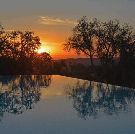 Sobreiras Alentejo Country Hotel - Pet Friendly