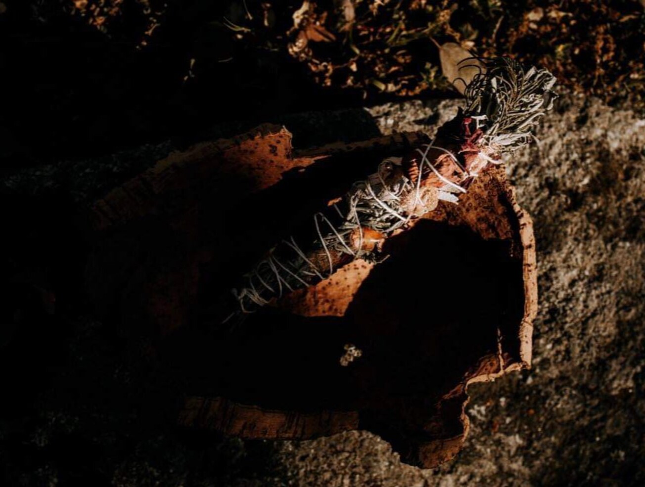 website image
