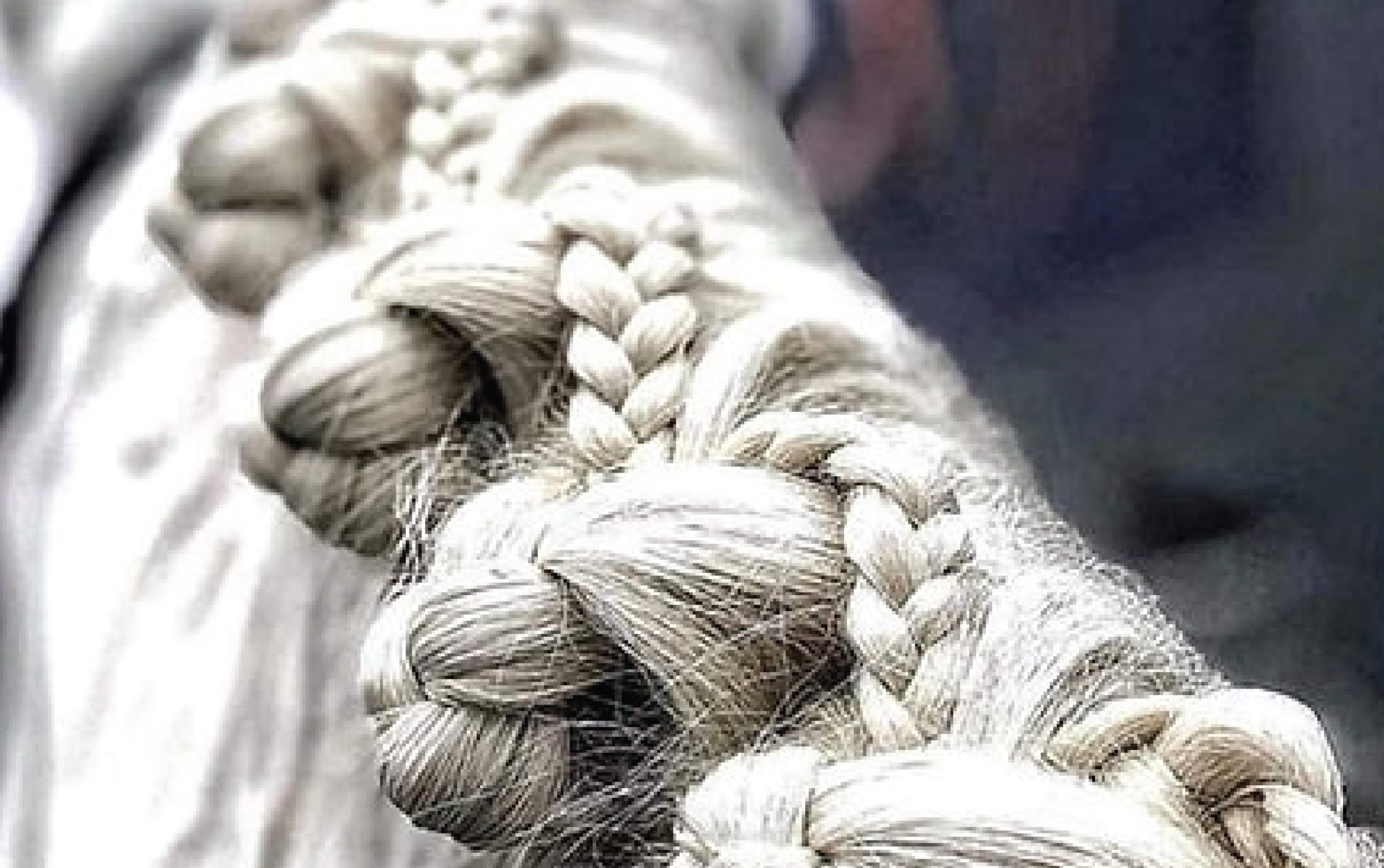 website image