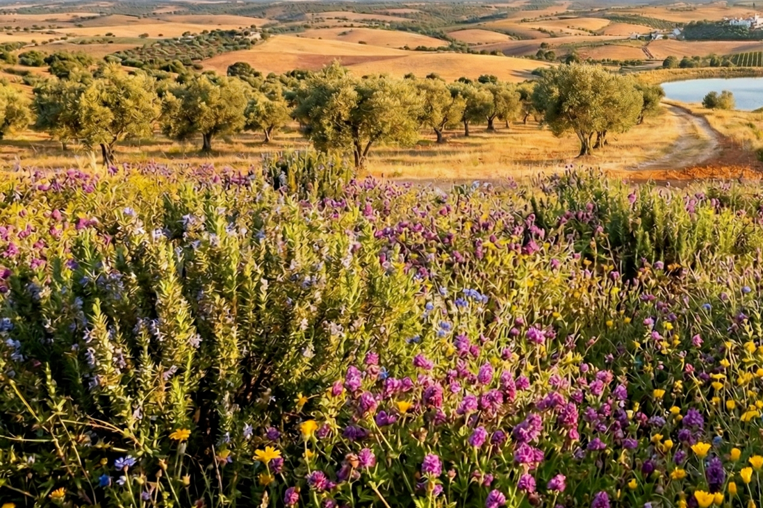 website image