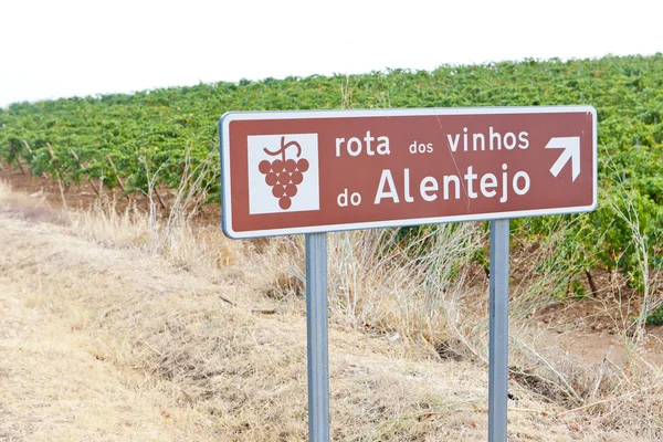 vinhos