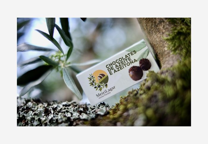 Trufas de Azeite e Azeitonas - Box 2